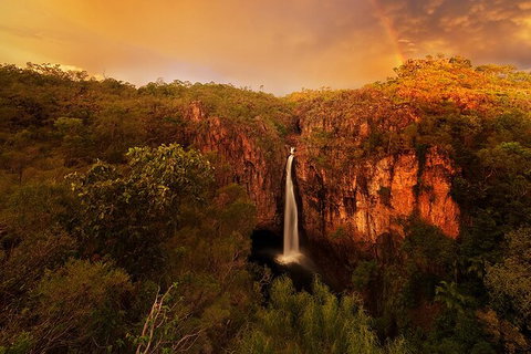 Full-Day Private Guided Tour To Litchfield National Park - Accommodation QLD 20