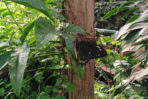 Full-Day Private Guided Tour To Litchfield National Park - Accommodation QLD 1