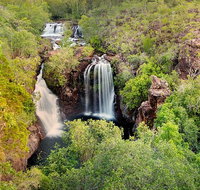 Full-Day Private Guided Tour to Litchfield National Park - Accommodation QLD