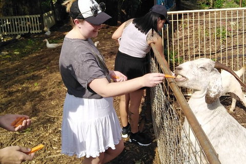 Full-Day Private Guided Tour To Litchfield National Park - Accommodation QLD 4