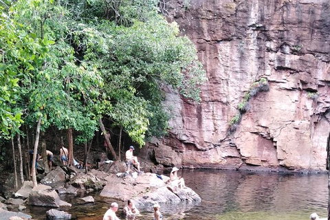 Full-Day Private Guided Tour To Litchfield National Park - Accommodation QLD 16