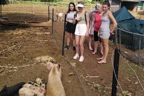 Full-Day Private Guided Tour To Litchfield National Park - Accommodation QLD 13