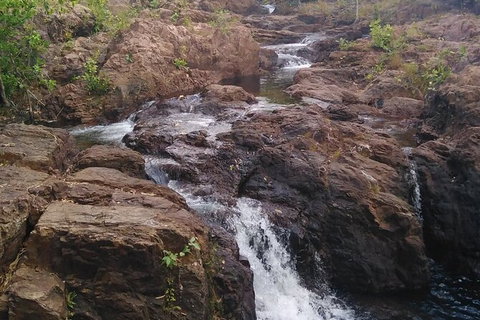 Full-Day Private Guided Tour To Litchfield National Park - Accommodation QLD 15