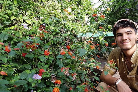 Full-Day Private Guided Tour To Litchfield National Park - Accommodation QLD 17