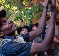 Arnhem Land Injalak Hill Full-Day Tour from Darwin - Accommodation QLD