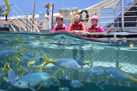 Outer Reef Pontoon Experience From Cairns - Accommodation QLD 8