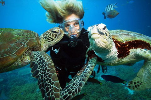Outer Reef Pontoon Experience From Cairns - Accommodation QLD 4