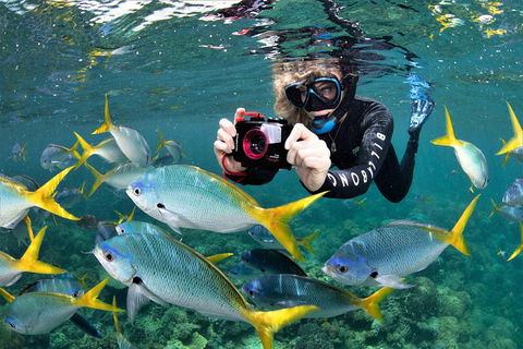 Outer Reef Pontoon Experience From Cairns - Accommodation QLD 10