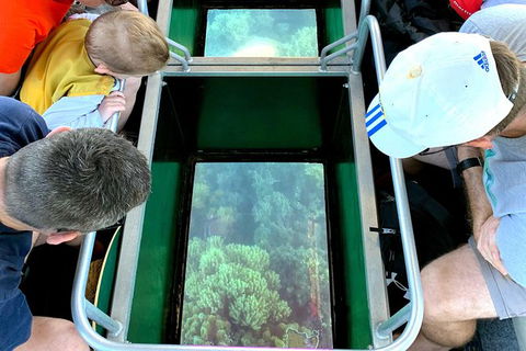 Airlie Beach Glass Bottom Boat Tour - Accommodation QLD 2