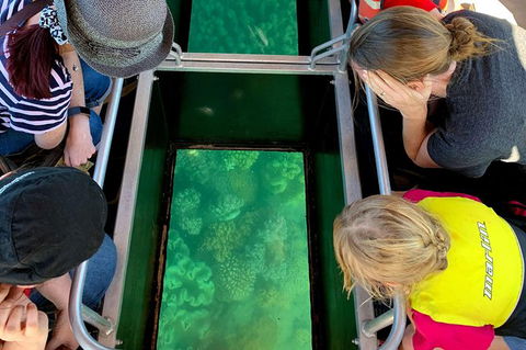 Airlie Beach Glass Bottom Boat Tour - Accommodation QLD 11