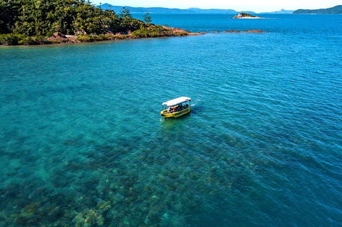 Airlie Beach Glass Bottom Boat Tour - Accommodation QLD 8