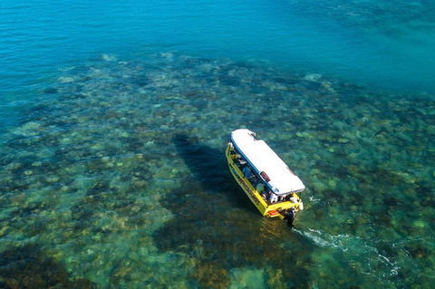 Airlie Beach Glass Bottom Boat Tour - Accommodation QLD 9