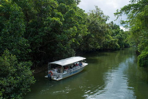 Daintree Rainforest, Cape Tribulation And Bloomfield Track Small Group Tour - Accommodation QLD 5