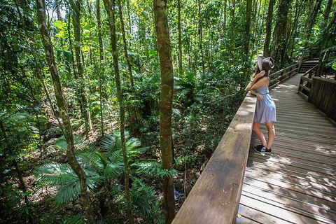 Daintree Rainforest, Cape Tribulation And Bloomfield Track Small Group Tour - Accommodation QLD 3