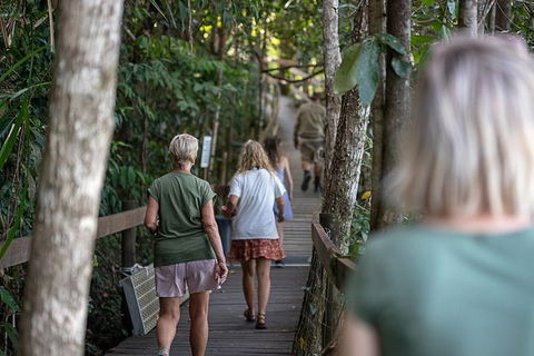 Daintree Rainforest, Cape Tribulation And Bloomfield Track Small Group Tour - Accommodation QLD 15