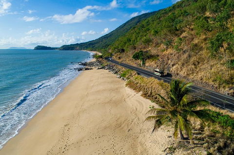 Daintree Rainforest, Cape Tribulation And Bloomfield Track Small Group Tour - Accommodation QLD 4