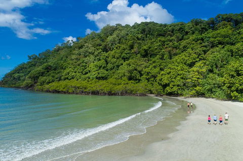 Daintree Rainforest, Cape Tribulation And Bloomfield Track Small Group Tour - Accommodation QLD 2