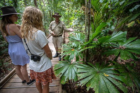 Daintree Rainforest, Cape Tribulation And Bloomfield Track Small Group Tour - Accommodation QLD 12