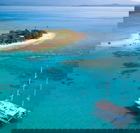 Wavedancer Low Isles Great Barrier Reef Sailing Cruise from Cairns - Accommodation QLD