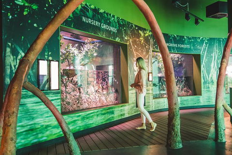 Cairns Aquarium Admission Ticket - Accommodation QLD 5