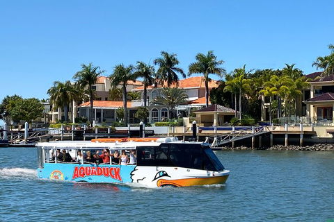 Aquaduck Sunshine Coast - Accommodation QLD 0