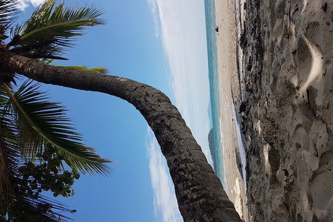 Airport Transfers Between Cairns Airport And Cairns City - Accommodation QLD 4
