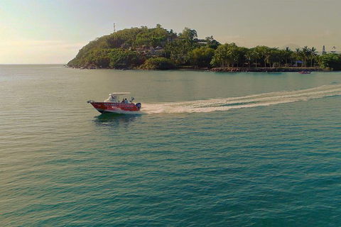 Out N About Sportfishing For Share And Private Charters On Reef And Estuary - Accommodation QLD 4