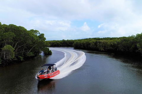 Out N About Sportfishing For Share And Private Charters On Reef And Estuary - Accommodation QLD 6