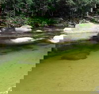 Afternoon Half-Day Daintree Rainforest and River Tour - Accommodation QLD