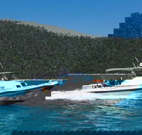 Private Standard Charter Experience in Whitsundays - Accommodation QLD