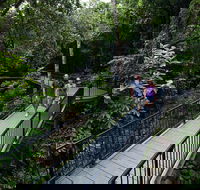 4-Day Cairns with Great Barrier Reef and Daintree Rainforest - Accommodation QLD
