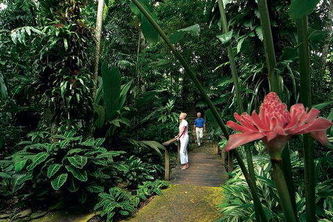 Cairns Aquarium And Small Group City Sightseeing Tour - Accommodation QLD 11