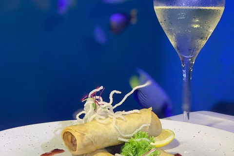 Cairns Aquarium And Small Group City Sightseeing Tour - Accommodation QLD 9