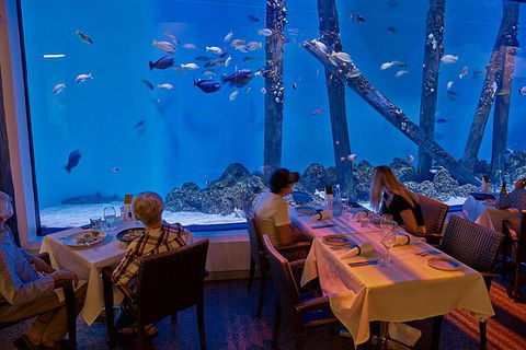 Cairns Aquarium And Small Group City Sightseeing Tour - Accommodation QLD 2