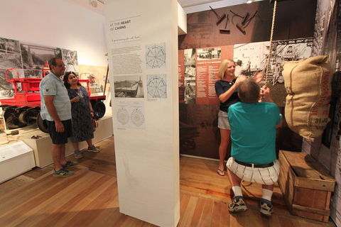 Cairns Aquarium And Small Group City Sightseeing Tour - Accommodation QLD 7