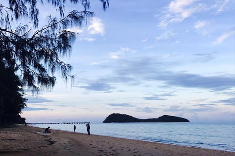 Cairns Aquarium And Small Group City Sightseeing Tour - Accommodation QLD 10