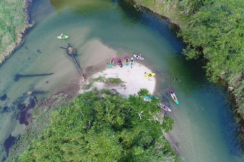Babinda Half Day Or Full Day Stand-up Paddle Board Self-Guided Tour - Accommodation QLD 1