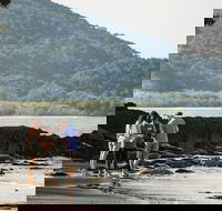 Sightseeing Tour - Full Day - Accommodation QLD