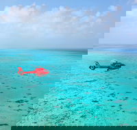 Port Douglas - Cruise and 10 Minute Scenic Flight - Accommodation QLD