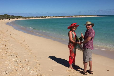 Elope In Paradise - Weddings At Mission Beach - Accommodation QLD 6