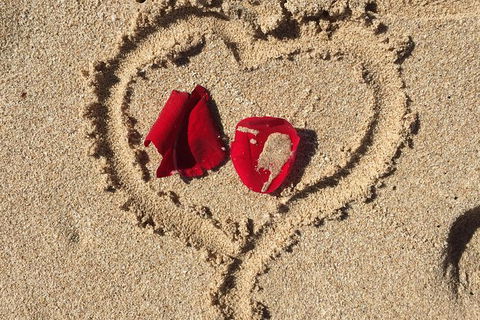 Elope In Paradise - Weddings At Mission Beach - Accommodation QLD 3