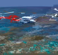 Helicopter and Cruise Packages From Port Douglas - Accommodation QLD