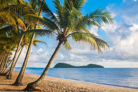 Luxury Van, Private Transfer, Cairns Airport - Palm Cove. - Accommodation QLD 1