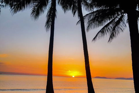 Airport Transfers Between Cairns Airport And Palm Cove - Accommodation QLD 4