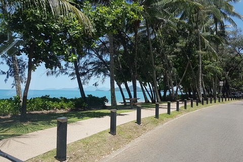 Airport Transfers Between Cairns Airport And Palm Cove - Accommodation QLD 6