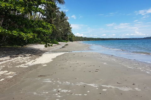Airport Transfers Between Cairns Airport And Palm Cove - Accommodation QLD 2
