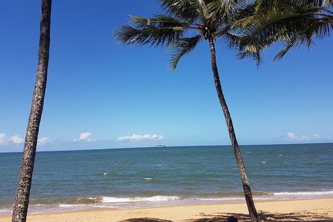 Airport Transfers Between Cairns Airport And Palm Cove - Accommodation QLD 8