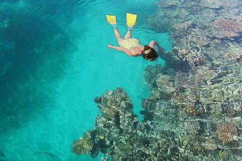 Great Barrier Reef Luxury Expedition Cruise Cabin Booking 7 Days 6 Night - Accommodation QLD 8