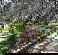 Self-guided Coast Walks - Noosa To Sydney 6 Days  Dep 25 Sep 2019 24 Sep 2020 - Accommodation QLD