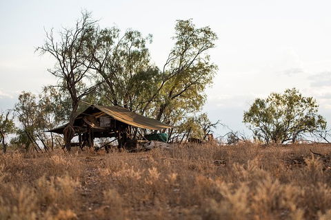 Nogo Station Experience - Accommodation QLD 5